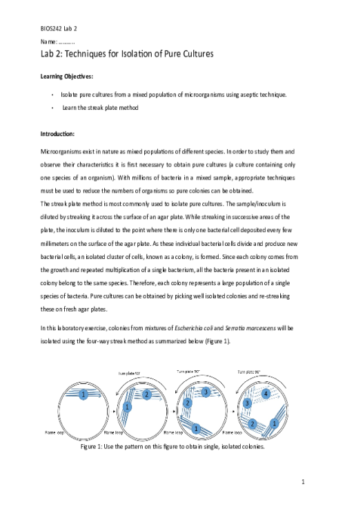BIOS 242 Week 1 Assignment; Lab 2 of 14 Onsite - Isolation of Pure Cultures