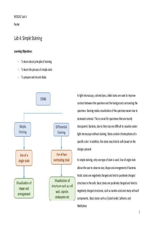 BIOS 242 Week 2 Assignment; Lab 4 of 14 Onsite; Simple Staining
