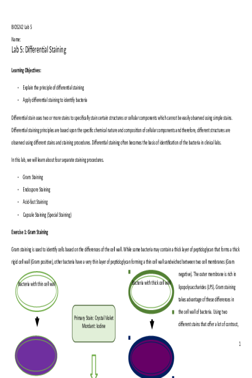 BIOS 242 Week 3 Assignment; Lab 5 of 14 Onsite; Differential Staining