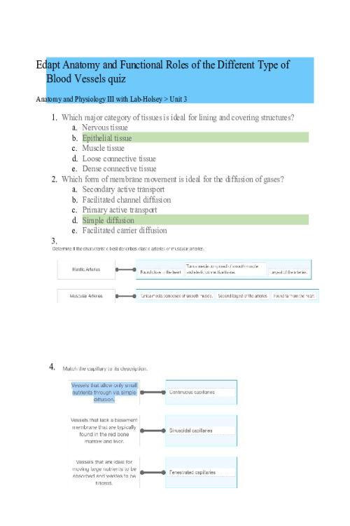 BIOS 255 Week 3 Concepts I The Cardiovascular System- Blood Vessels (Quiz)