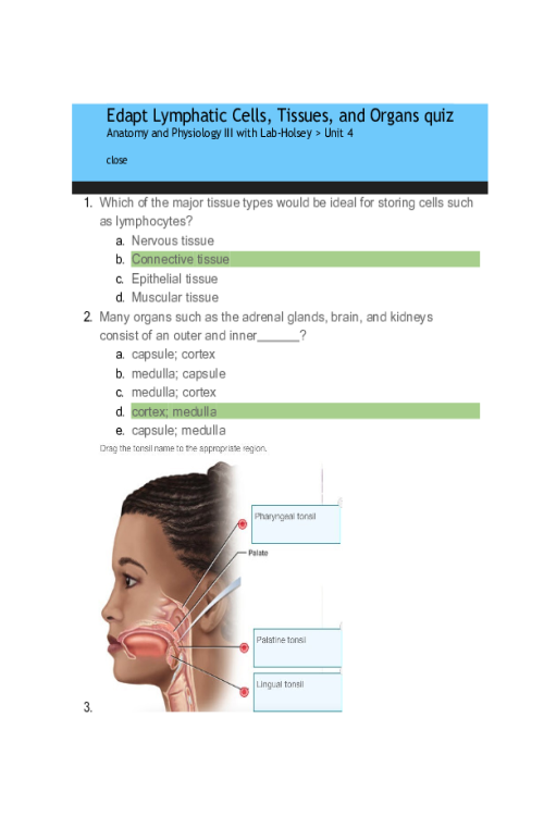 BIOS 255 Week 4 Concepts; The Lymphatic System (Edapt Lymphatic Cells, Tissues, Org