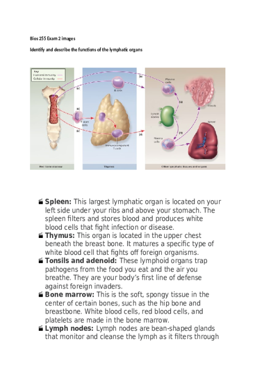 BIOS 255 Week 5 Exam 2 (Week 3 and 4) Images to Know