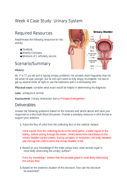 BIOS 256 Week 4 Case Study; Urinary System