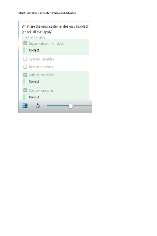 MGMT 408 Week 3 Chapter 3 Video and Activities Bulb