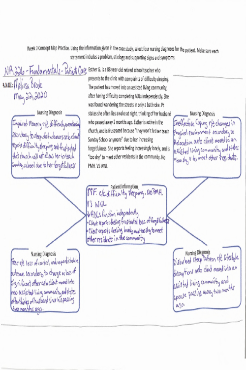 NR 226 Week 3 Concept Map Practice