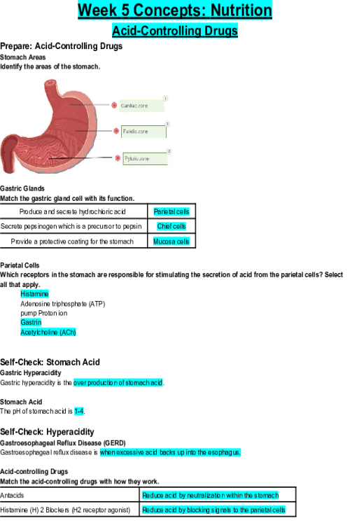 NR 293 Week 5 Concepts; Nutrition