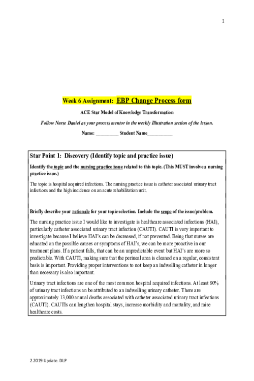 NR 451 Week 6 Assignment; EBP Change Process Form - Hospital acquired infections