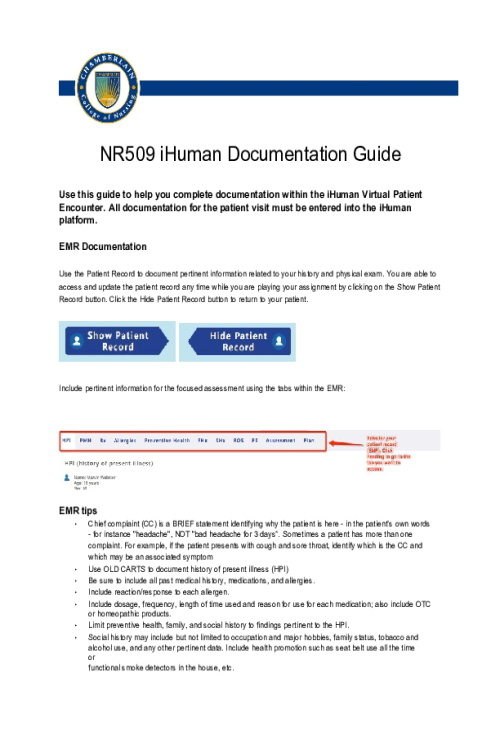 NR 509 Week 2 iHuman Documentation Guide