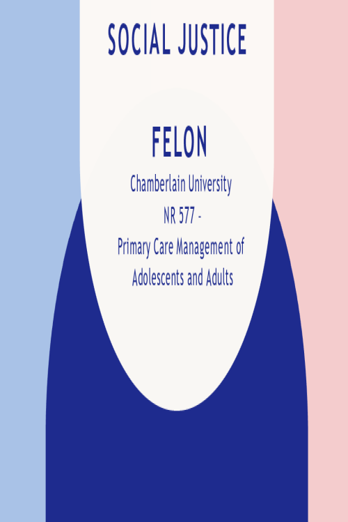 NR 577 Social Justice Felon SOCIAL JUSTICE FELON (Presentation).pptx