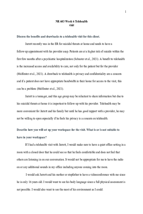 NR 603 Week 7 Discussion; Telehealth Visit