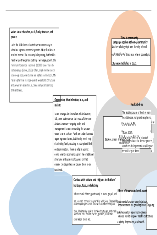 NR 717 Week 1 Discussion; Culturagram.pptx