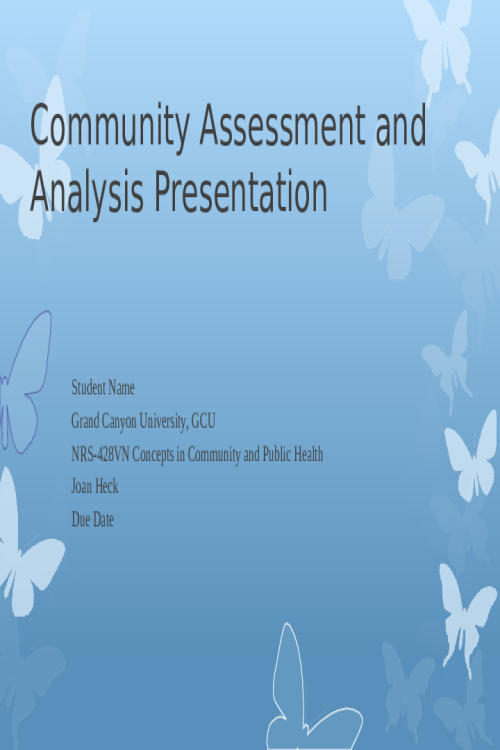 NRS 428VN Topic 4 Assignment; Community Assessment and Representative Interview Ana