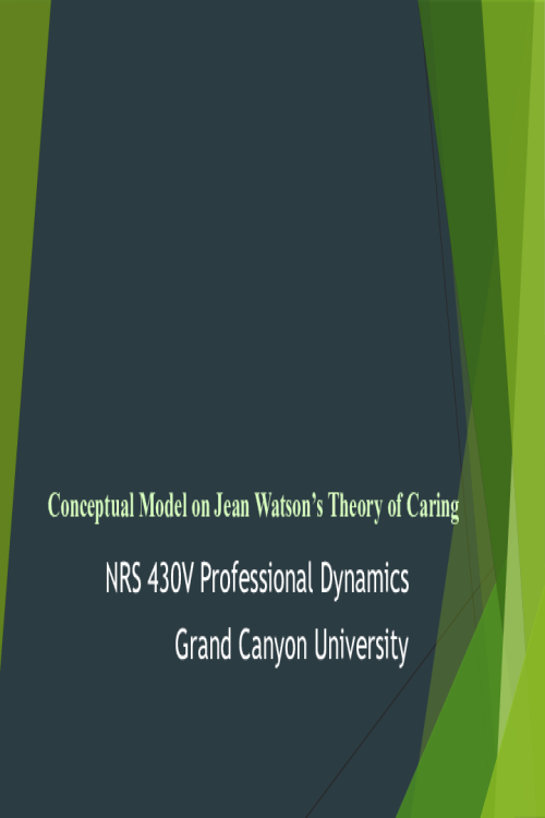 NRS 430V Topic 3 Assignment; CLC - Nursing Theory and Conceptual Model Presentation