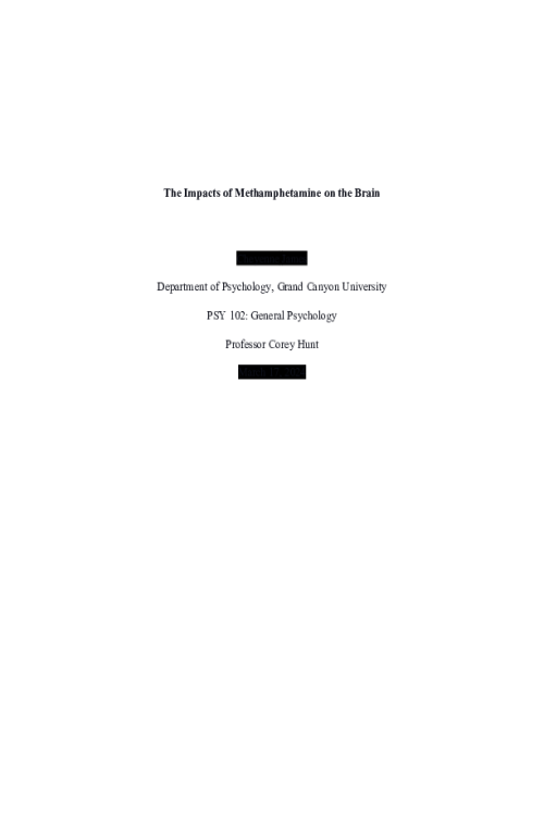 PSY 102 Topic 2 Assignment; Impacts of Methamphetamine on the Brain - Obj. 1.3, 2.1